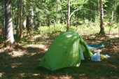 Ночёвка в ельнике, точка `Camping 2` (см.схему выше)